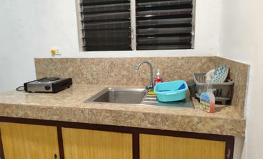 FOR RENT‼️ - HOUSE & LOT IN DAUIN