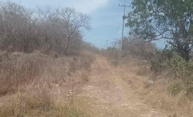 se vende terreno Tetiz cerca Hunucma