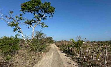 se vende terreno Tetiz cerca Hunucma