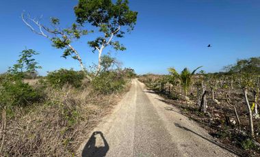 se vende terreno Tetiz cerca Hunucma