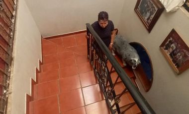 CASA EN VENTA CERCA AV TONALTECAS Y AV JUAREZ.