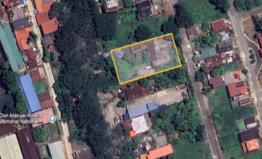 For Lease: Industrial Lot in Pila Highway