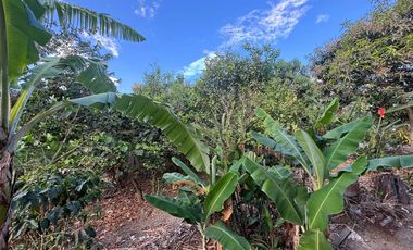 Amplia propiedad en venta en Malacatos