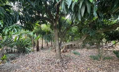 Amplia propiedad en venta en Malacatos