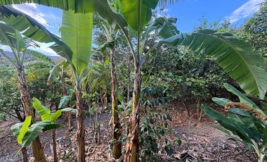 Amplia propiedad en venta en Malacatos