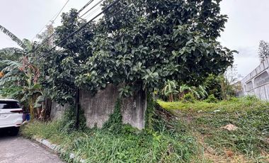 FOR SALE! 280 sqm Residential Lot at Tahanan Village, BF Paranaque