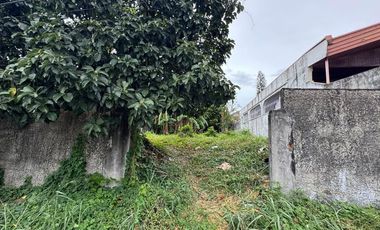 FOR SALE! 280 sqm Residential Lot at Tahanan Village, BF Paranaque