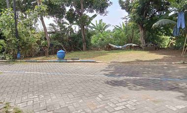 Jual Rumah
Perum Griya Samudra Asri
Taman Sidoarjo

Luas 108m2 ( 9x12 )
Full Bangunan
Kamar tidur 3
Kamar mandi 1
Air PDAM + Sumur
PLN 1300
Row jln 6m
Surat SHM

Harga 550 Juta
Cash / KPR

Minat
08123217----