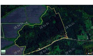 FOR SALE Alaminus Laguna lot for sale