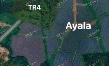 FOR SALE Alaminus Laguna lot for sale