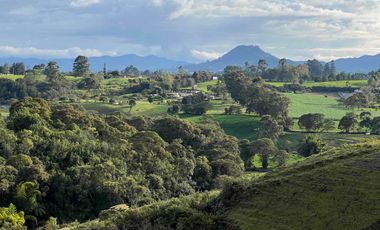 En Venta Finca Urbana en El Carmen de Viboral