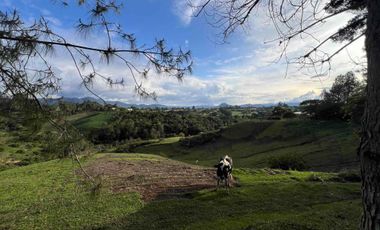 En Venta Finca Urbana en El Carmen de Viboral