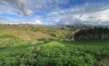 En Venta Finca Urbana en El Carmen de Viboral
