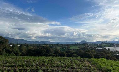 En Venta Finca Urbana en El Carmen de Viboral