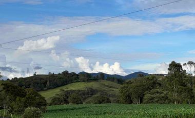 En Venta Finca Urbana en El Carmen de Viboral
