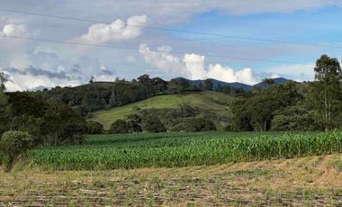 En Venta Finca Urbana en El Carmen de Viboral