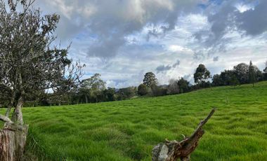 En Venta Finca Urbana en El Carmen de Viboral