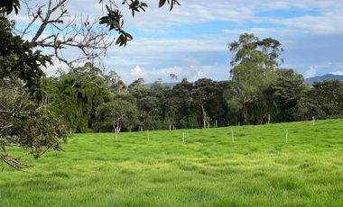 En Venta Finca Urbana en El Carmen de Viboral