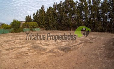 Parcela orilla de carretera D-41, para centro de eventos, turístico u otro. La Serena. $165 millones