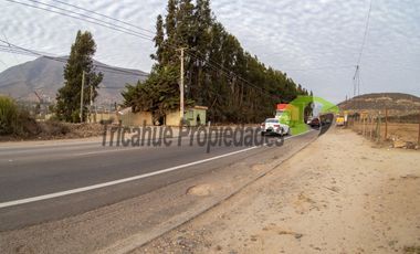 Parcela orilla de carretera D-41, para centro de eventos, turístico u otro. La Serena. $165 millones