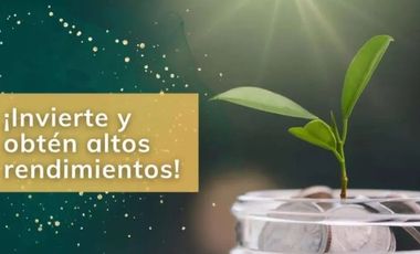 Casa en venta en Marco Antonio, Linares, Nuevo León CLJ.