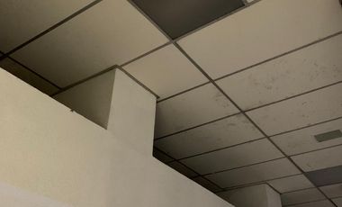 LOCAL EN PLANTA BAJA CON SOTANO EN EDIFICIO SOBRE AVE UNIVERSIDAD
