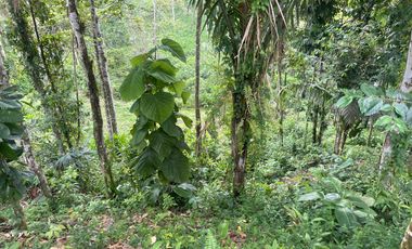 Vendo Hacienda de 3 hectáreas con restaurante en Puerto Quito, Pichincha , Ecuador.