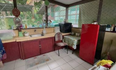 HOUSE AND LOT FOR SALE IN SIBULAN ID 15006