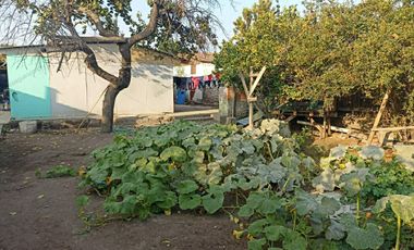 Gran Terreno con salida a dos avenidas, en el corazón de Quilicura