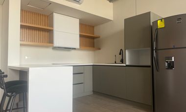 RENTA DEPARTAMENTO AMUEBLADO BARRIO W