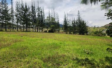 Terreno grande en venta 17mil metros cuadrados, sector Iglesia Challuabamba