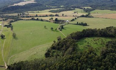 Campo en Los Muermos, El Escondido – Región de Los Lagos