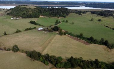 Campo en Los Muermos, El Escondido – Región de Los Lagos