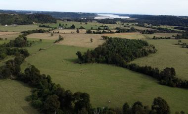 Campo en Los Muermos, El Escondido – Región de Los Lagos