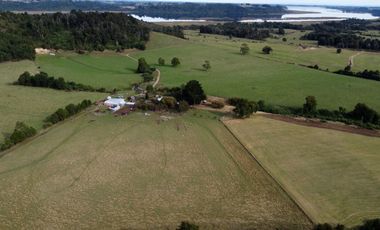 Campo en Los Muermos, El Escondido – Región de Los Lagos
