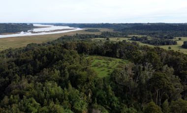 Campo en Los Muermos, El Escondido – Región de Los Lagos