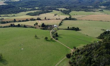 Campo en Los Muermos, El Escondido – Región de Los Lagos