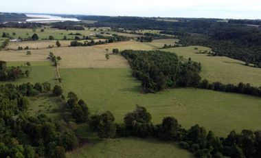 Campo en Los Muermos, El Escondido – Región de Los Lagos
