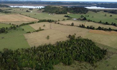 Campo en Los Muermos, El Escondido – Región de Los Lagos