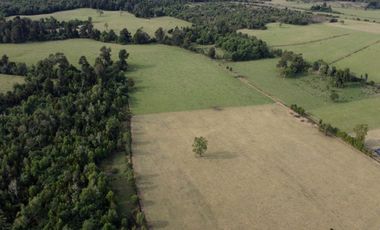 Campo en Los Muermos, El Escondido – Región de Los Lagos