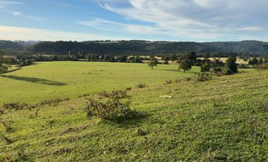 Campo en Los Muermos, El Escondido – Región de Los Lagos