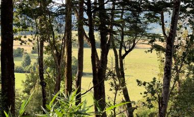 Campo en Los Muermos, El Escondido – Región de Los Lagos