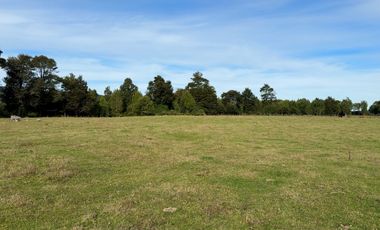 Campo en Los Muermos, El Escondido – Región de Los Lagos