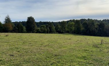 Campo en Los Muermos, El Escondido – Región de Los Lagos