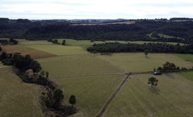 Campo en Los Muermos, El Escondido – Región de Los Lagos