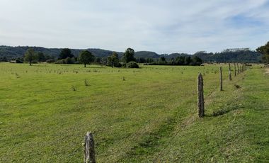 Campo en Los Muermos, El Escondido – Región de Los Lagos