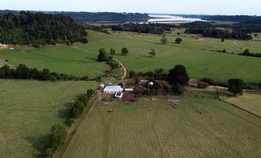 Campo en Los Muermos, El Escondido – Región de Los Lagos