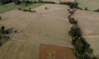 Campo en Los Muermos, El Escondido – Región de Los Lagos