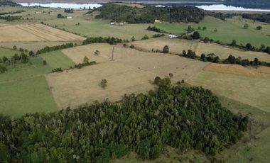 Campo en Los Muermos, El Escondido – Región de Los Lagos
