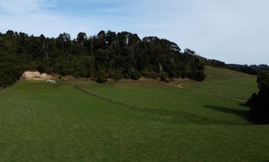 Campo en Los Muermos, El Escondido – Región de Los Lagos